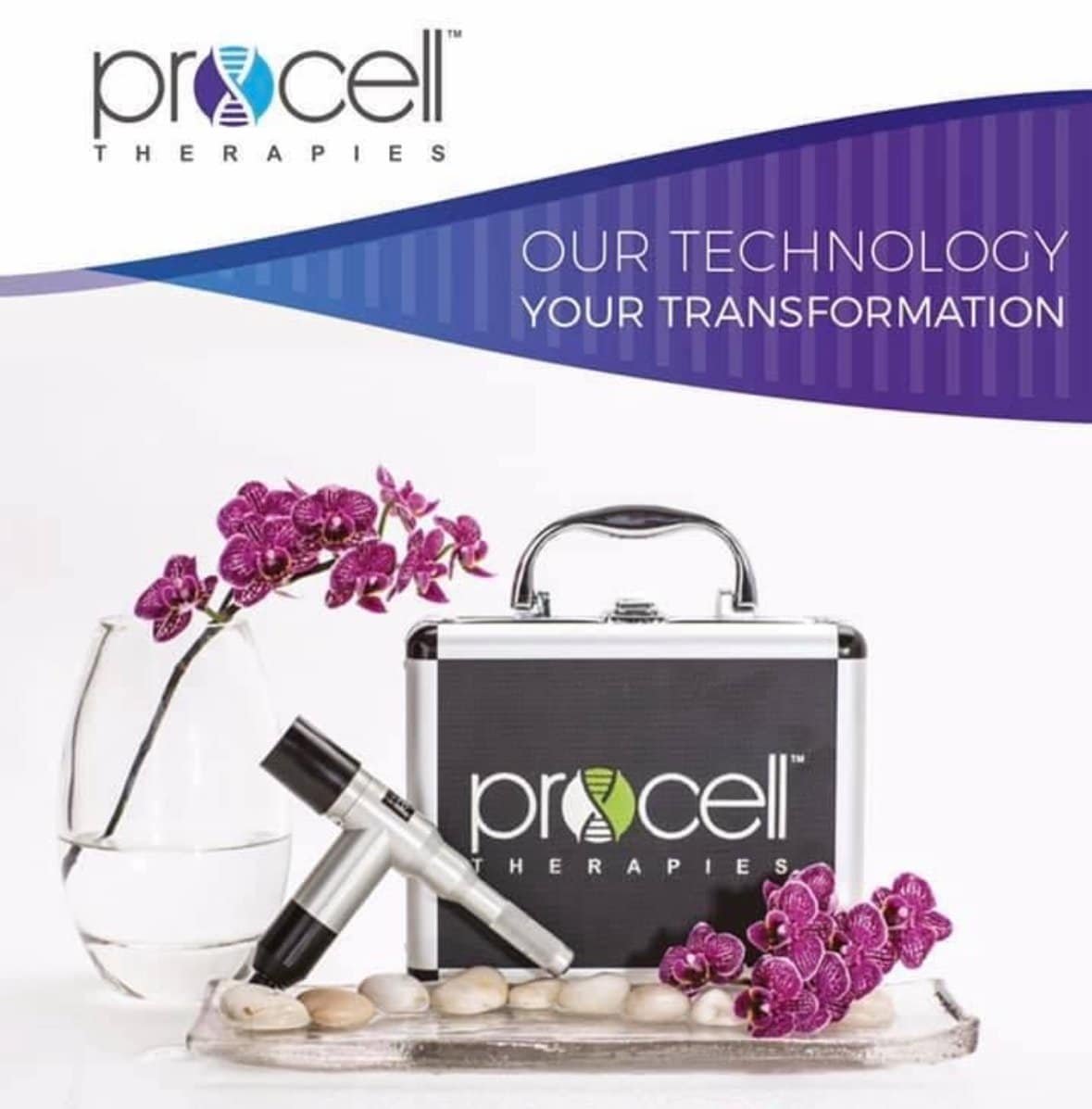 1743185221 procell